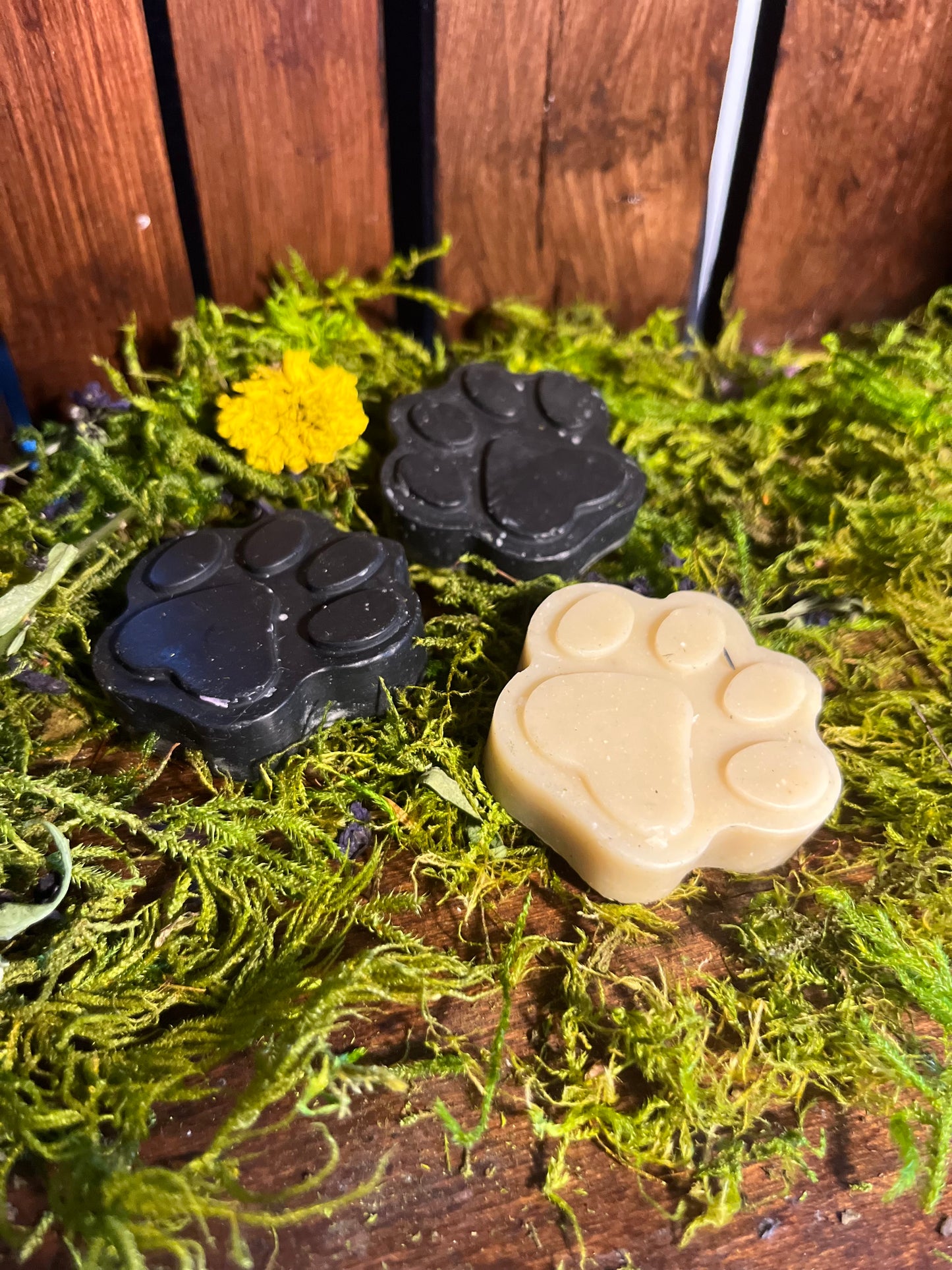 Dog Itch Relief Bar