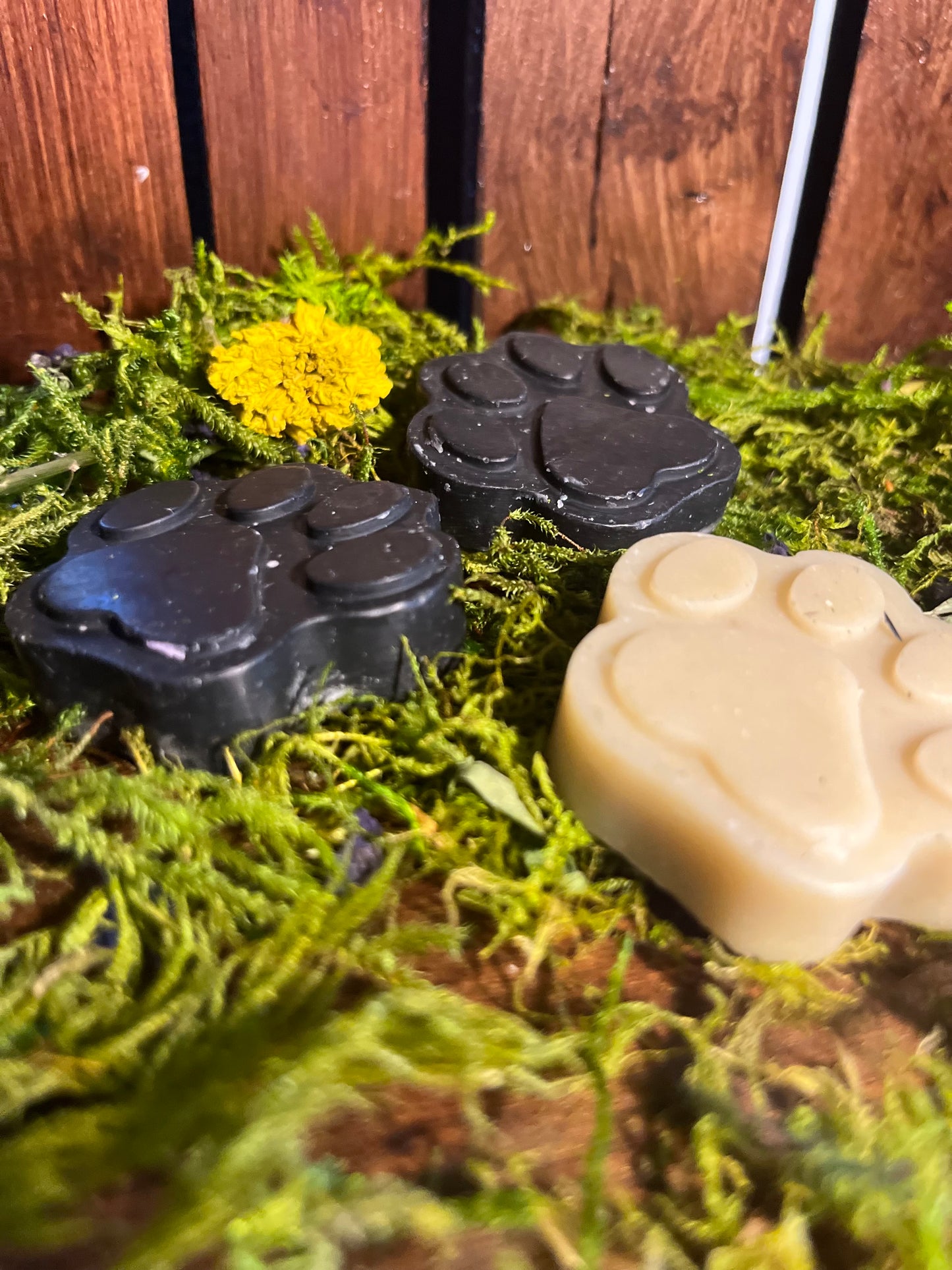 Dog Itch Relief Bar