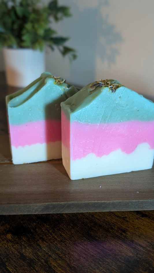 Clear Path Teen Soap Bar